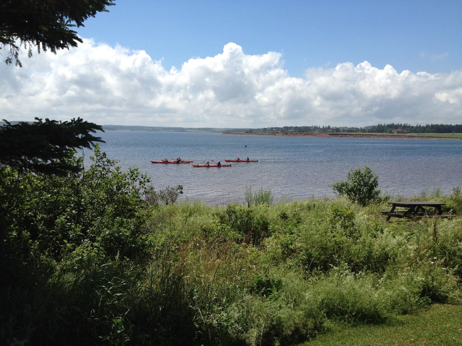 A group of kayakers crossing North Rustico Harbour