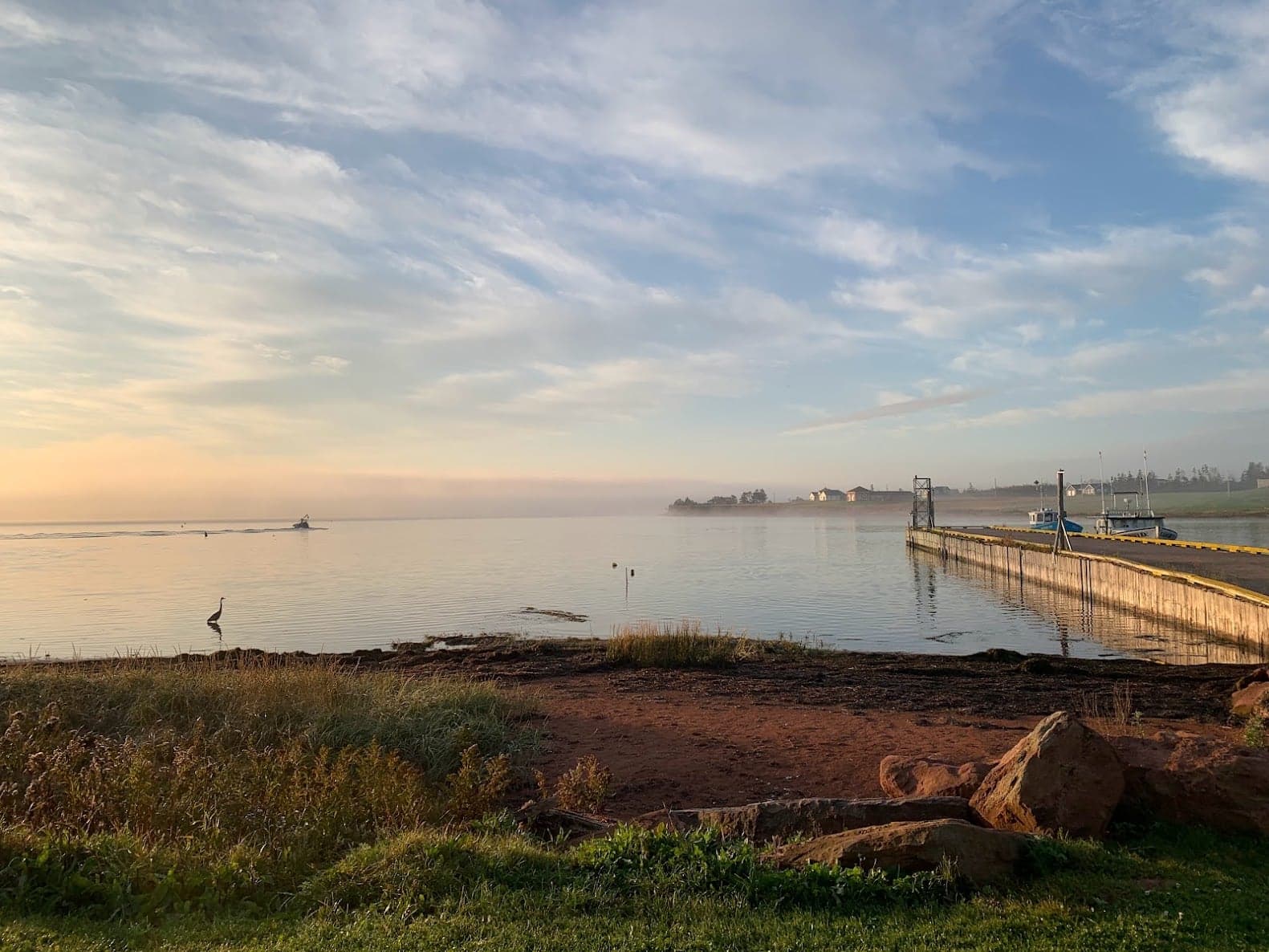 A heron, an oyster boat, and the North Rustico pier in the morning mist